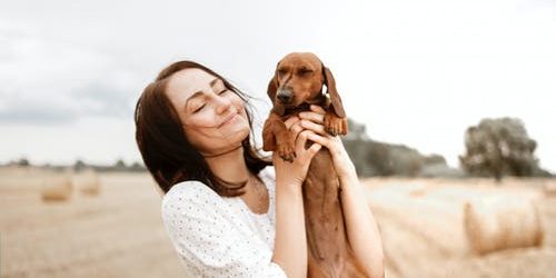 What to Know When Preparing Your Pet for a Boarding Experience