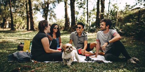 Five Ways to Help Your Pet Heal Faster After Surgery