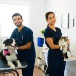 How to Prepare Your Pet for a Veterinary Checkup